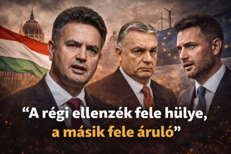 politikai vita és megosztottság Magyarországon nemzetközi térben